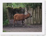 Dierentuin Burgers  Zoo 093 * 3648 x 2736 * (5.86MB)